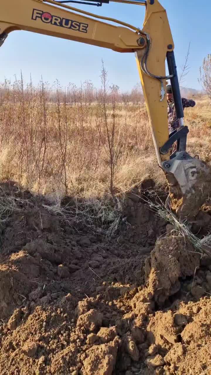 نهال بادام شناسنامه دار|خدمات باغبانی و درختکاری|شیراز, زرهی|دیوار