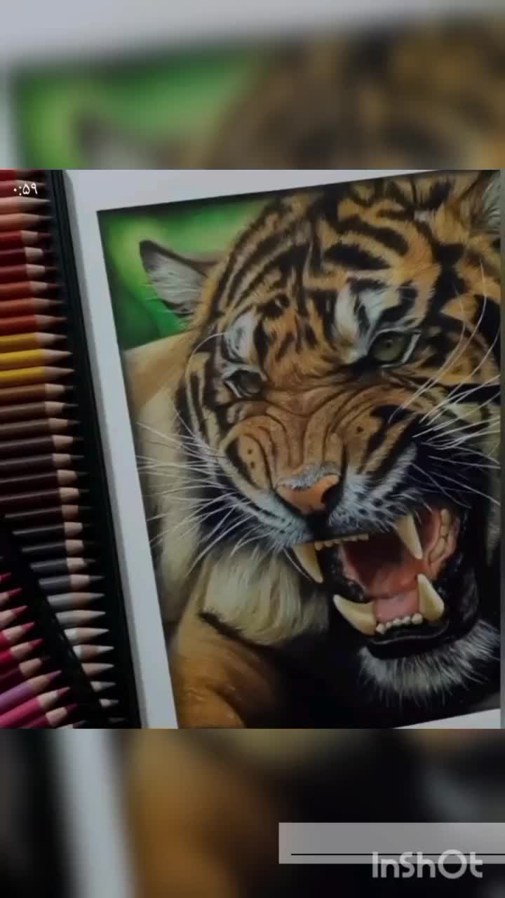 اجرای خدمات و آموزش نقاشی سیاه قلم و مداد رنگی|خدمات آموزشی|کرمانشاه, |دیوار