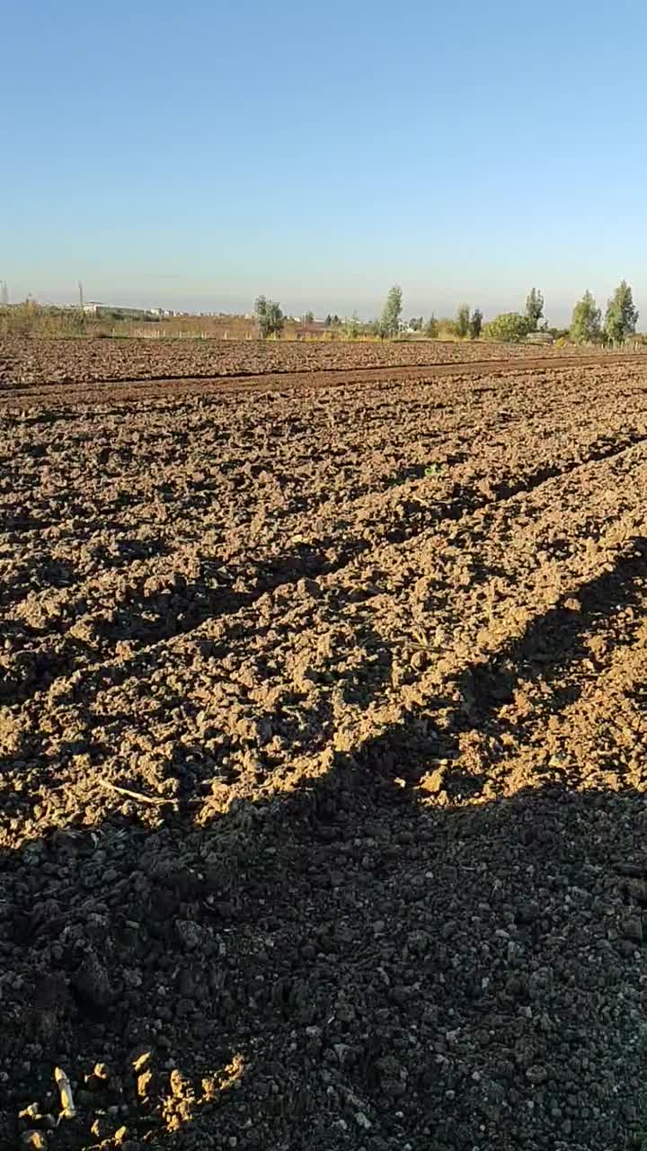 تراکتور 475|خودرو سنگین|گرگان, |دیوار