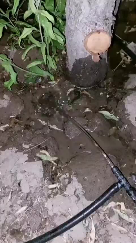 باغ شهری روستای جونجان مرودشت|فروش زمین و ملک کلنگی|مرودشت, ده بید|دیوار