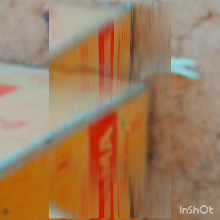 کبوتر کله ای و سینه ای سرخ .سیاه .زرد|پرنده|سمیرم, |دیوار