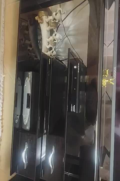 میز تلویزیون شرکتی مدل tempered glass|میز تلویزیون|تهران, اتابک|دیوار