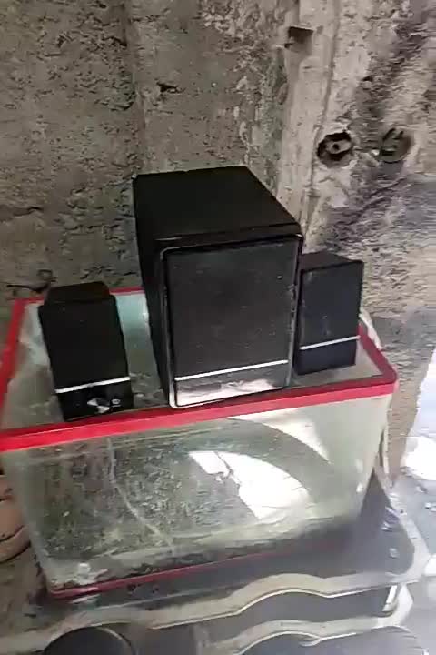 باند یا اسپکر  سالم سالم|سیستم صوتی خانگی|کازرون, |دیوار