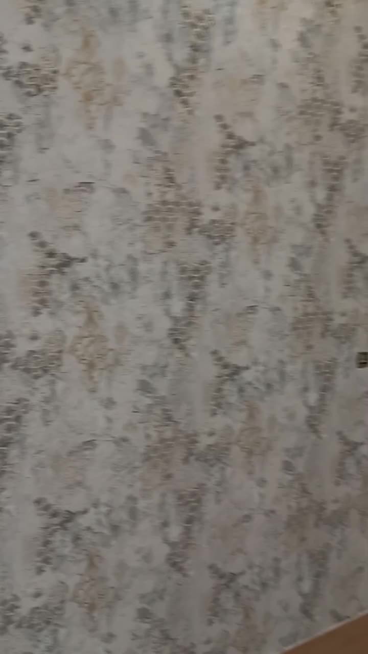 کاغذدیواری|مصالح و تجهیزات ساختمان|تربت جام, شاد|دیوار