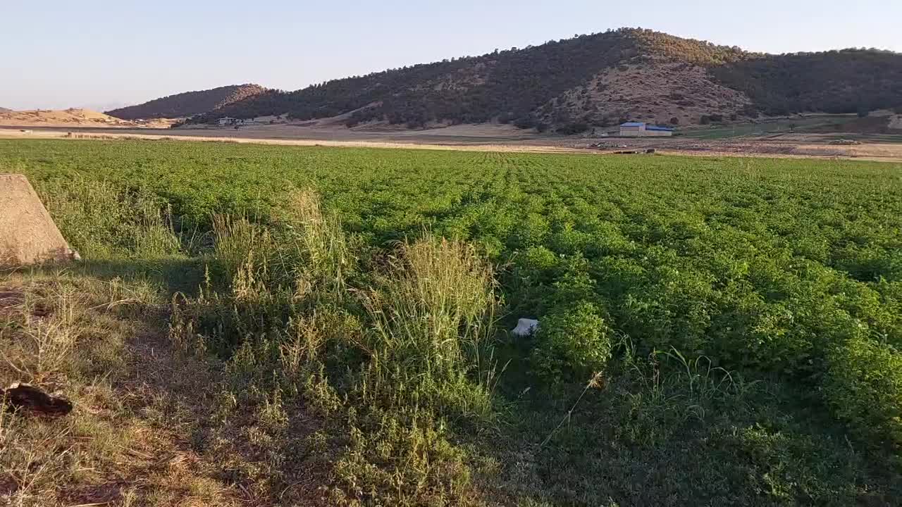 زمین جهت اجاره|اجارهٔ مغازه و غرفه|خاو و میرآباد, |دیوار