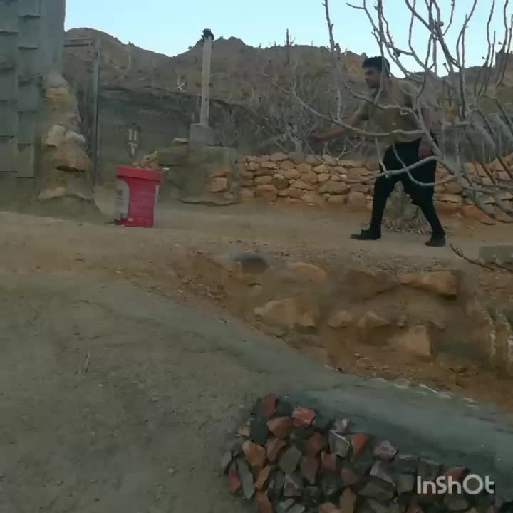 سگ نگهبان|سگ|شیراز, آزادگان|دیوار
