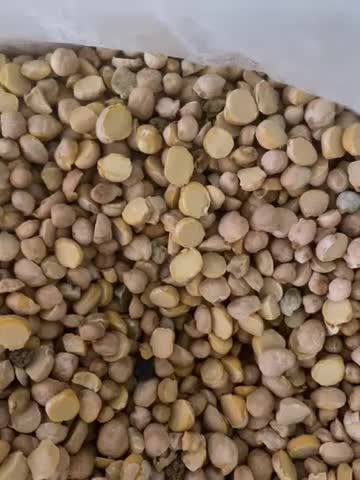 نخود|خوردنی و آشامیدنی|صحنه, |دیوار