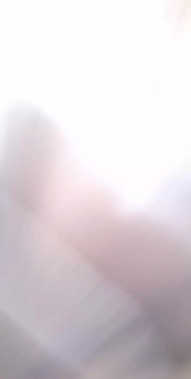 یک عدد مرغ مینا|پرنده|کرمانشاه, |دیوار