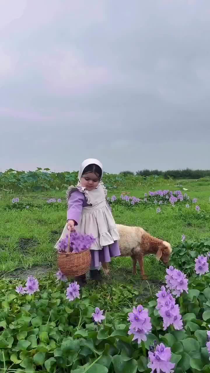 شالیزاری|فروش دفتر صنعتی، کشاورزی، تجاری|اردل, |دیوار