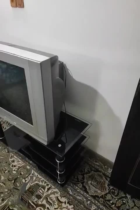 تلویزیون ۲۹ اینج کره ای صفحه تخت به همراه میز|تلویزیون و پروژکتور|فولادشهر, C4|دیوار