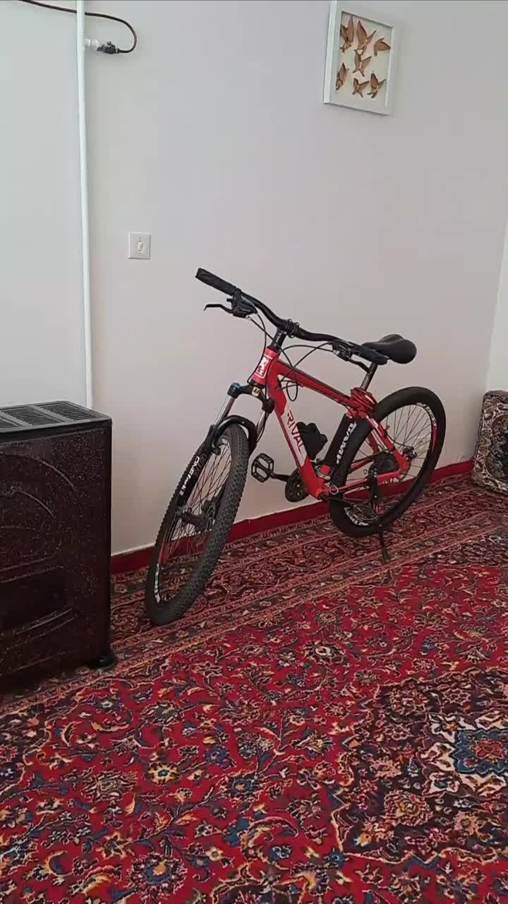 دو چرخه ریوال سند دار|دوچرخه، اسکیت، اسکوتر|تیکمه داش, |دیوار