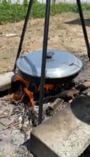 باغ انگور و میوه|فروش زمین و ملک کلنگی|محمدبار, |دیوار