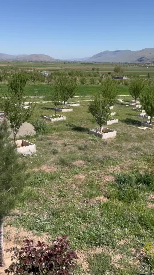 باغ|فروش زمین و ملک کلنگی|دینور, |دیوار