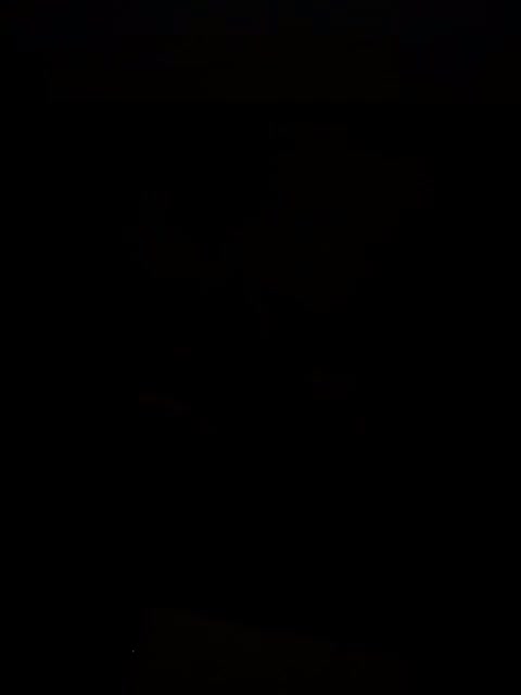 فورش حلزون تراپی اچتینا آلبینو|خزنده|خرمدره, |دیوار