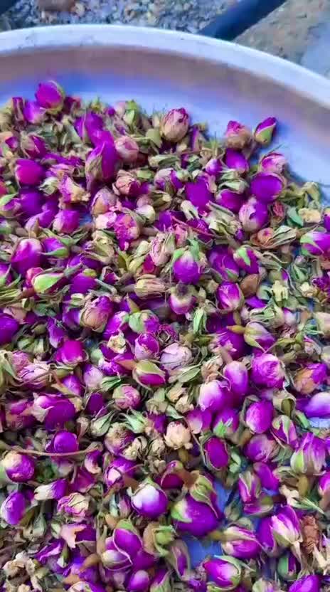 غنچه گل محمدی|عمده‌فروشی|اصفهان, شهرک کاوه|دیوار