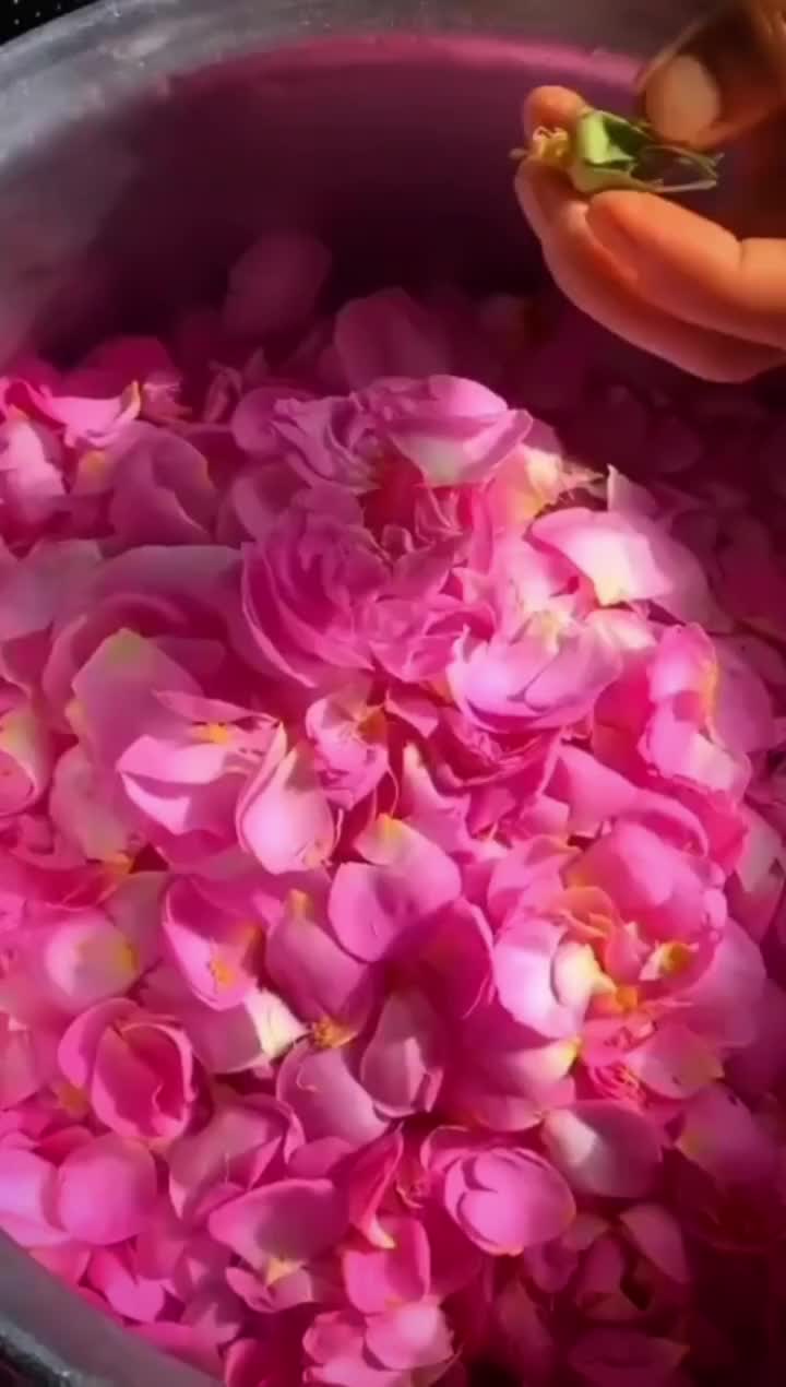 vip tour kashan|خدمات پذیرایی، مراسم|یزد, |دیوار