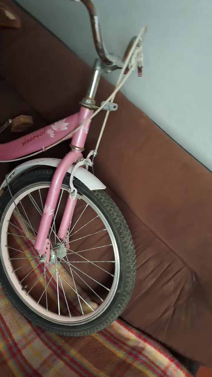 دوچرخه دخترونه سایز ۲۰ تک دنده|دوچرخه، اسکیت، اسکوتر|صدرا-فارس, فاز ۱|دیوار