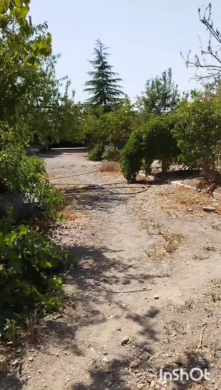 ویلا ۱۰۰۰ متری رودهن خیابان اباصالح (کلاهک)|فروش خانه و ویلا|رودهن, |دیوار