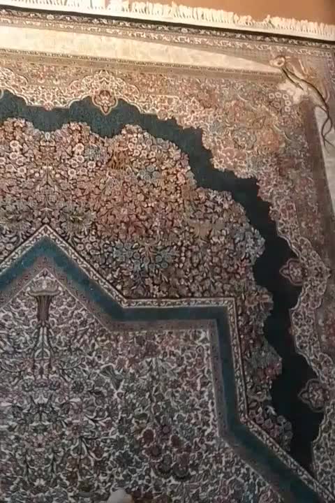 دو عدد قالی ۹متری اصلی|فرش|شازند, |دیوار