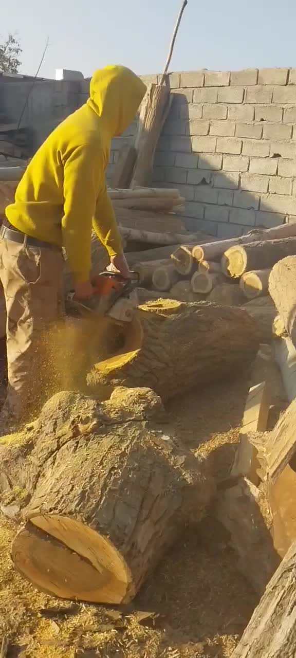 خرید چوب کنده توت و گردو|خدمات باغبانی و درختکاری|هشتگرد, شهرک اقدسیه|دیوار