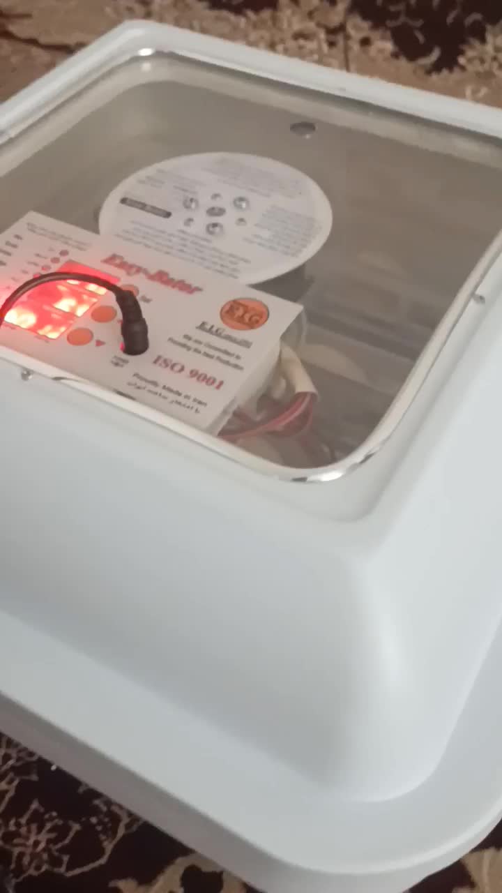 دستگاه جوجه کشی اسکندری|لوازم جانبی حیوانات|پیرانشهر, |دیوار