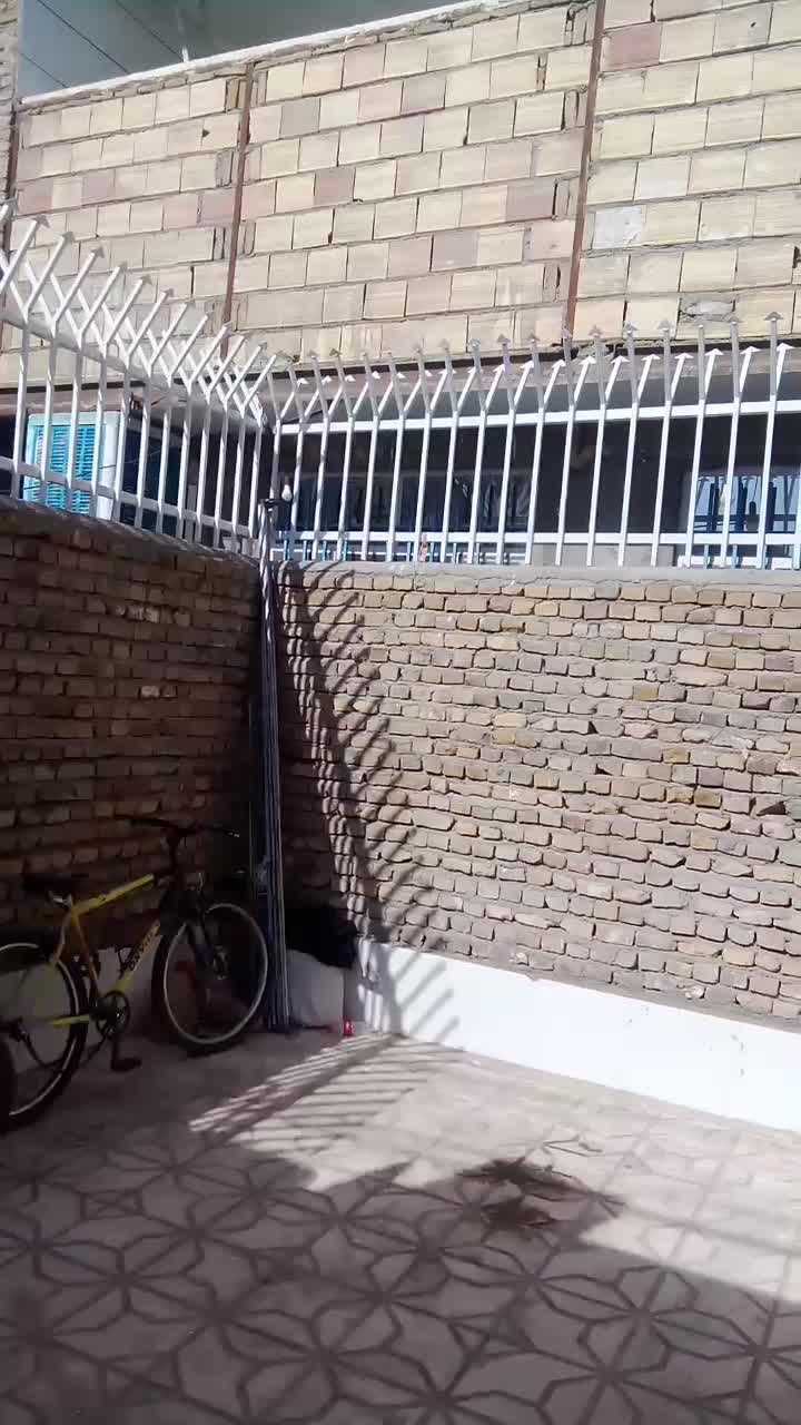 خانه اجاره ای|اجارهٔ خانه و ویلا|سبزوار, قلعه‌نو دهزار|دیوار