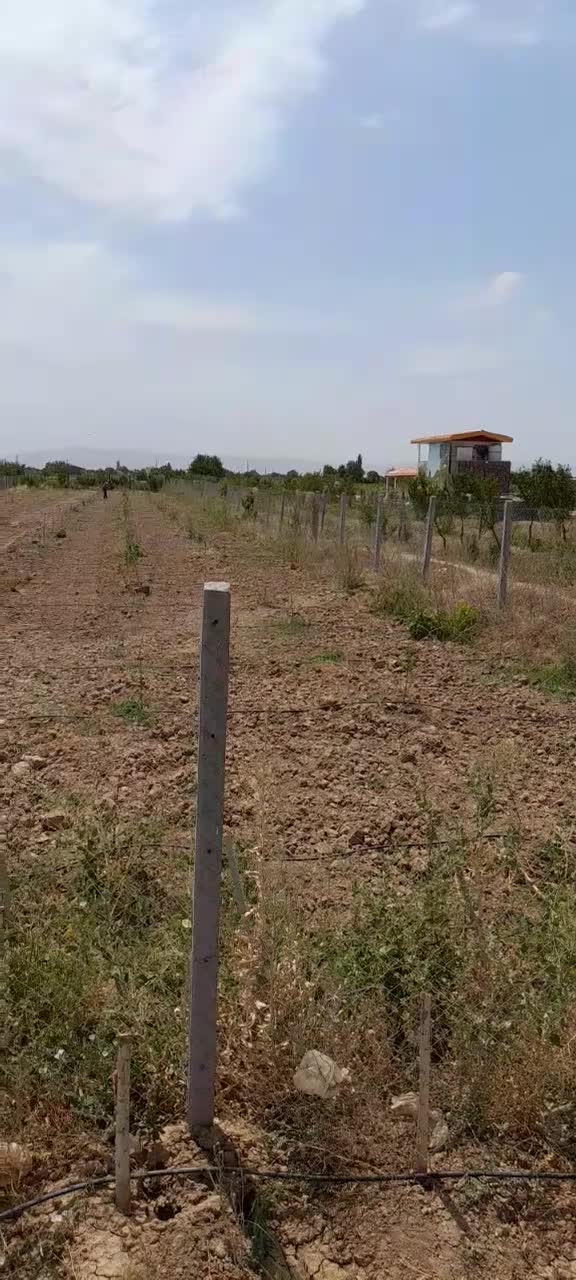 متری ۲۸۰ هزار تومن زمین باغی|فروش دفتر صنعتی، کشاورزی، تجاری|کرج, کوی امامیه|دیوار