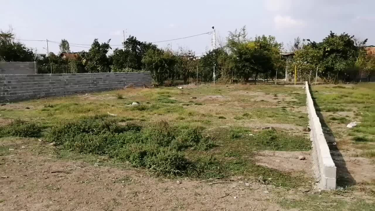 328 متر مربع زمین مسکونی در شمال|فروش زمین و ملک کلنگی|قائمشهر, |دیوار