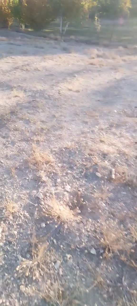 فروش زمین در منطقه ییلاقی فولاد محله|فروش زمین و ملک کلنگی|شهمیرزاد, |دیوار