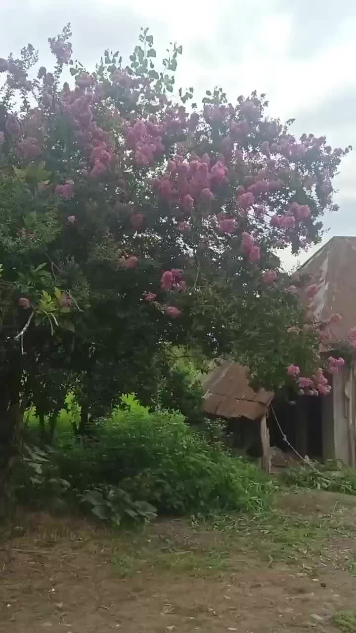 خانه روستایی ۷۰۰ متری با بنای قابل بازسازی|فروش زمین و ملک کلنگی|سنگر, |دیوار